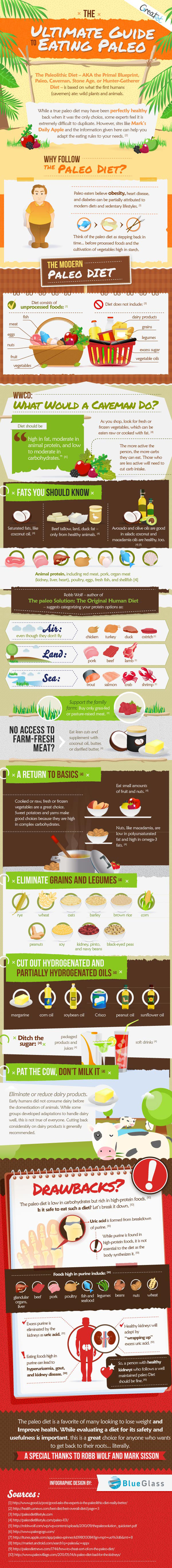 Paleo Diet Infographic