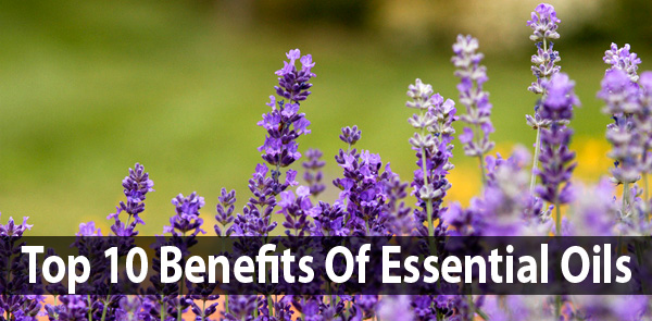 Top 10 Benefits Of Essential Oils