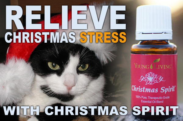 Relieve Christmas Stress With Christmas Spirit