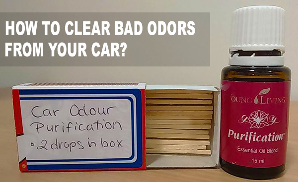 Tip How To Clear Bad Odors From Your Car