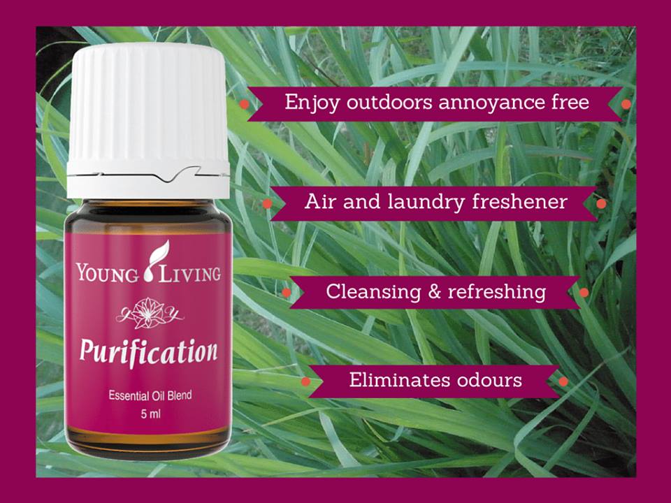 Purification Helps Clear Bad Odors From Your Car