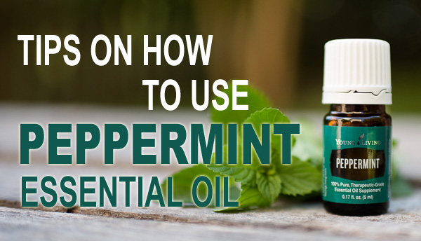 Tips On How To Use Peppermint Essential Oil