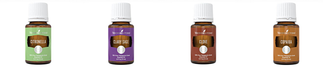 How To Order Essential Oils At Retail Prices?