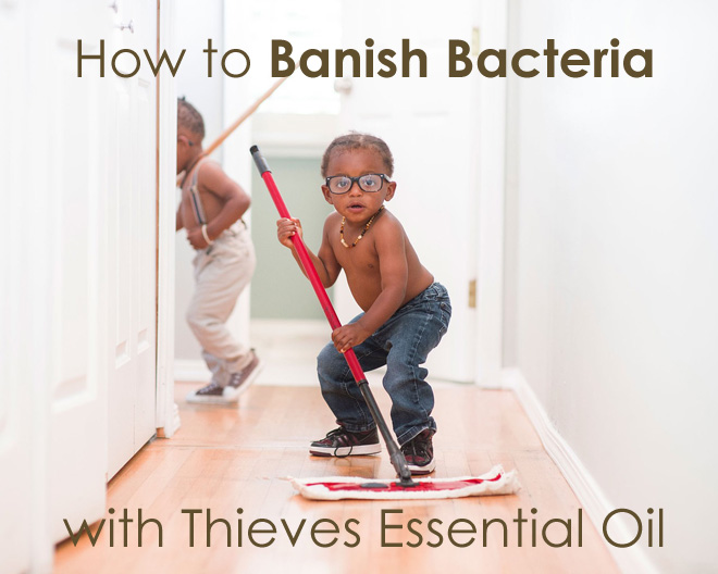 How To Banish Bacteria With Thieves Essential Oil