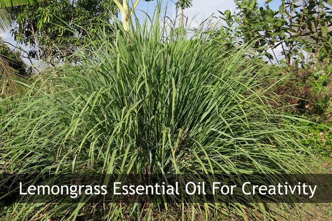 Lemograss Essential Oil to diffuse for Creativity