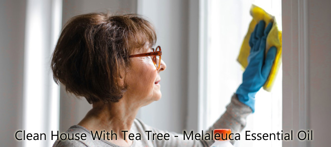 Clean House With Tea Tree - Melaleuca Essential Oil