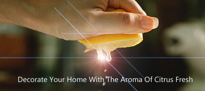 Decorate Your Home With The Aroma Of Citrus Fresh